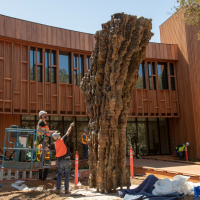 Sculpture installed at Stanford University’s Denning House anchors new art collection