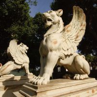 The Stanford griffins return to public view