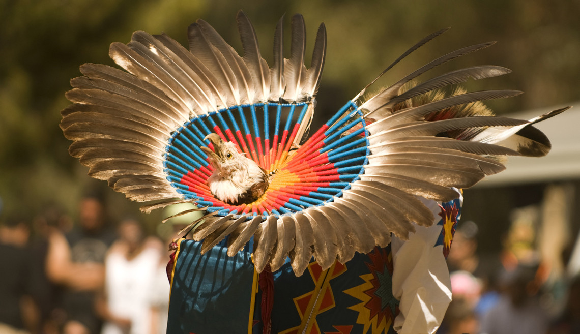 Nico Phoenix was a competitor in the Teen Boy's Traditional Dance competition. The 38th Annual Stanford Powwow, Eucalyptus Grove, Stanford University.