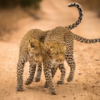 First-year student’s nature photographs earn international prize
