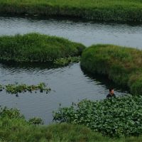 ” Image—Script” on view at the Art Gallery July 17 – August 26