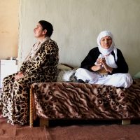 Student photographs showcase the beauty and diversity of the world around us