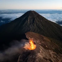 Doerr photo contest illustrates life’s complexity