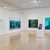 ‘Second Nature’ photo exhibit examines a world reshaped by human influence