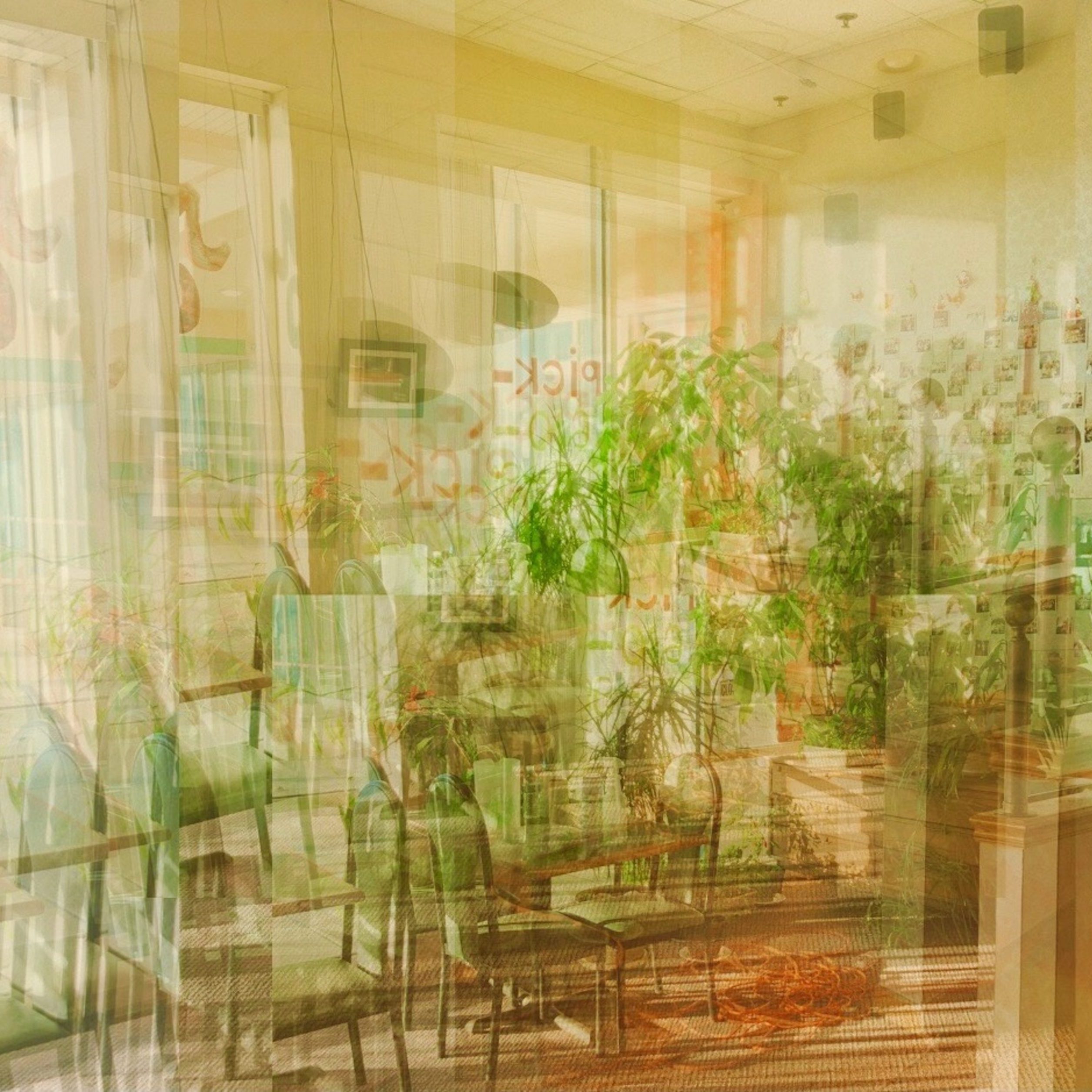 visual arts Project by Jia Lin