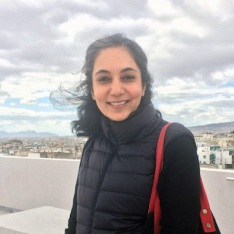 Screen Shot 2019-10-24 at 3.56.27 PM