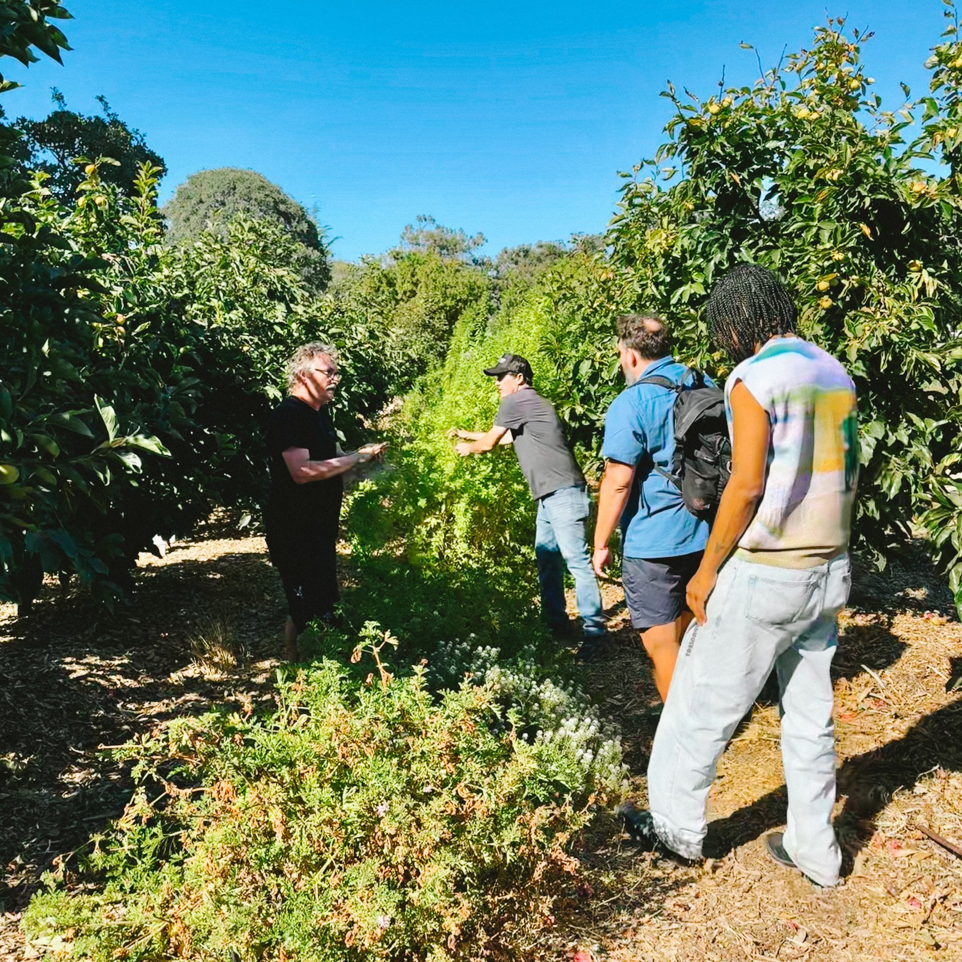 At the Stanford Farm